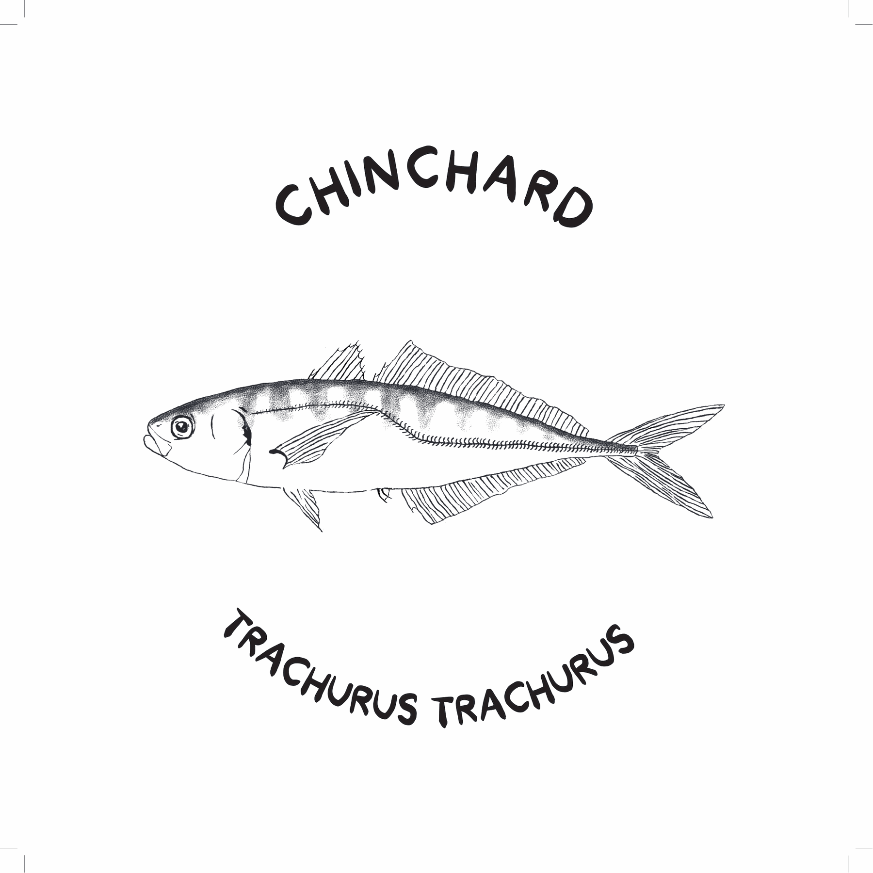 Chinchard