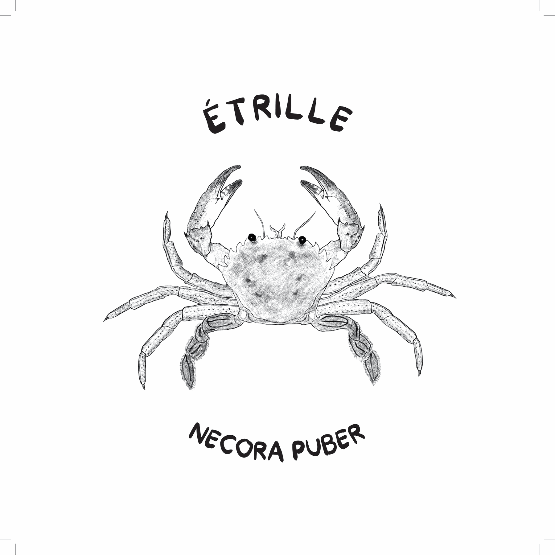 Etrille